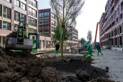 🌳Die «grüne Gasse» entsteht!