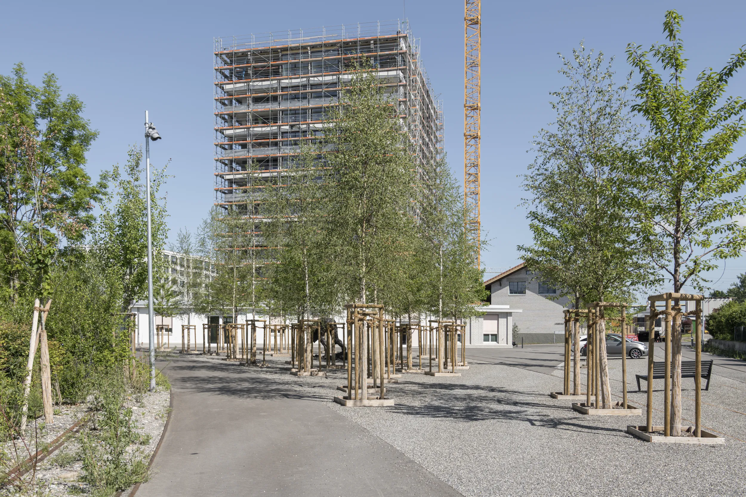 Rita Illien, landscape architect