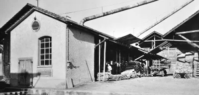 Wood on the Papieri site